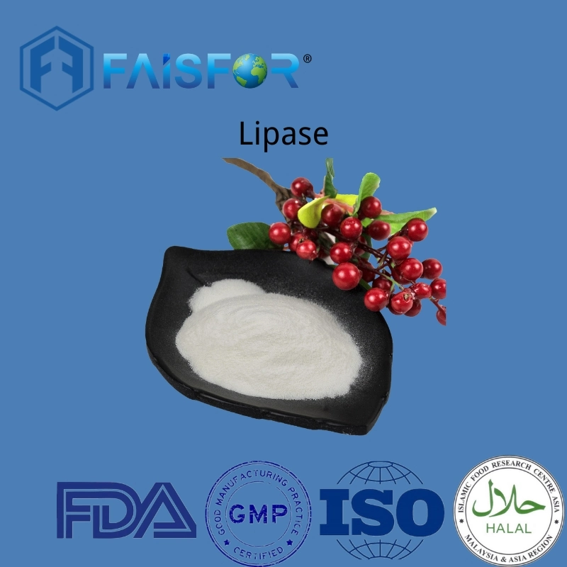 Food Additive Lipase for Food and Animal Feed