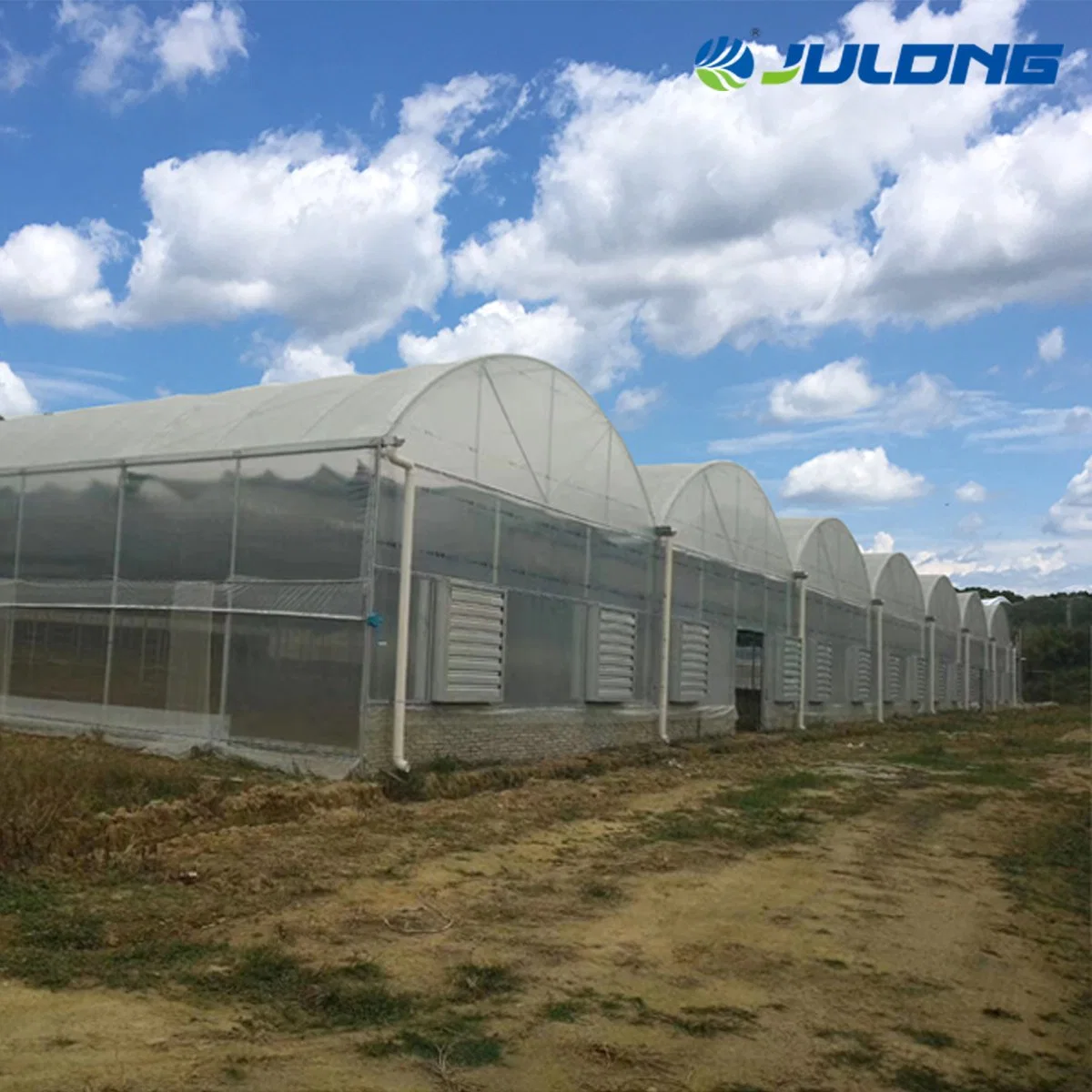 Large Multi-Span Plastic Film Greenhouse Vegetables Fruits Greenhouse for Sale