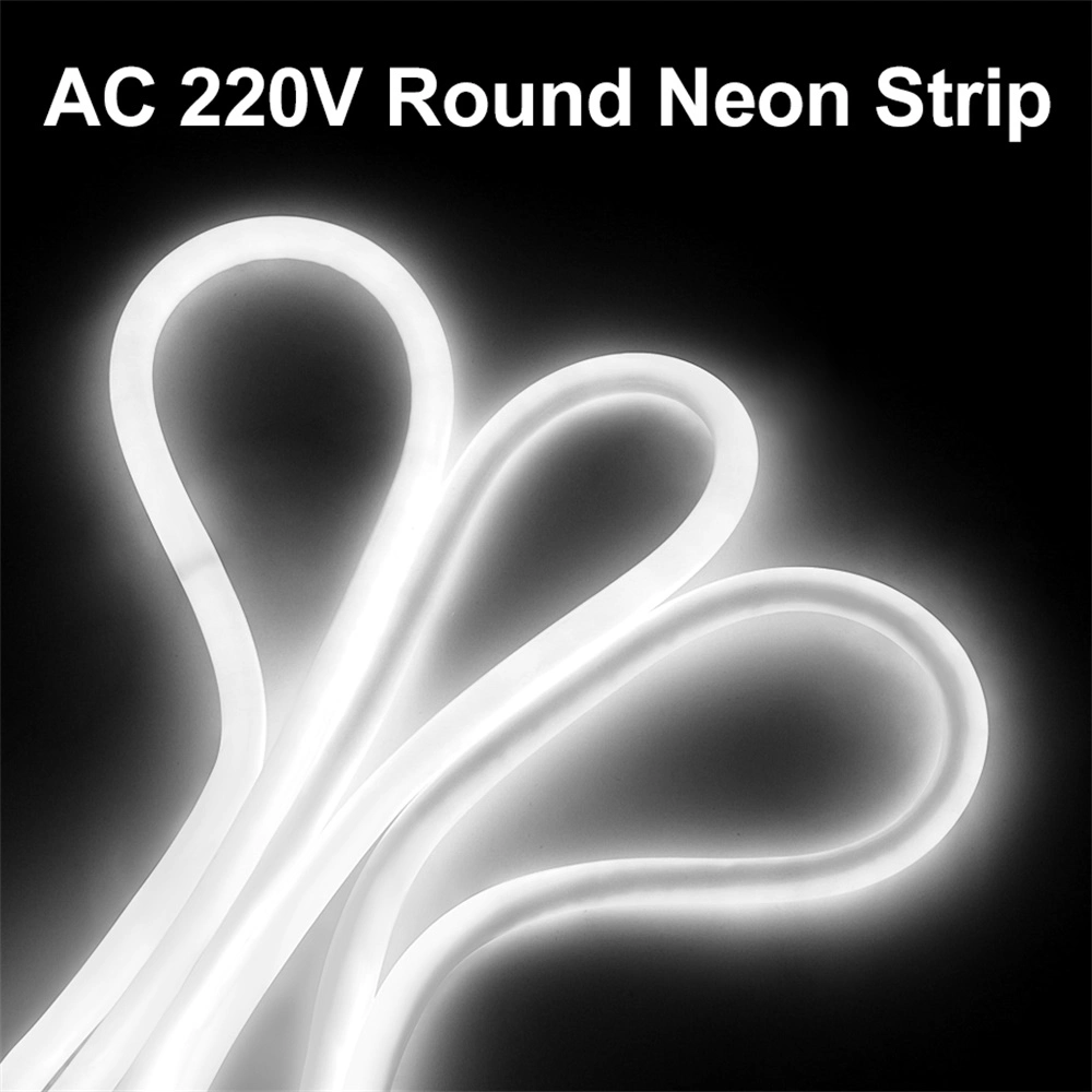 LED Neon Dance Party Atmosphere Decor Lamp Ropetube Waterproof Multicolor LED Strip