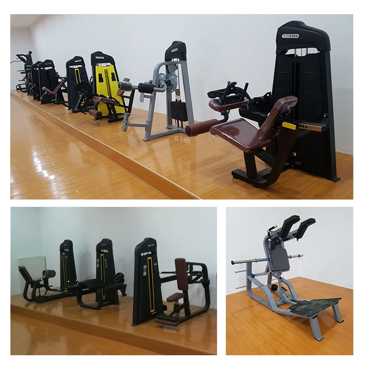 2019 Hot Sale OS Factory Gym Fitness Equipment 35