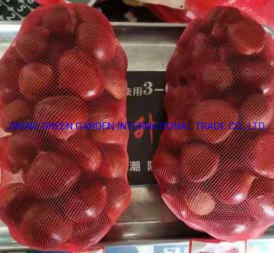 Shandong Manufacturer Wholesale/Supplier Chinese Chestnut Raw Sweet Fresh Chestnuts, a Plump, Fresh and Delicious Chestnut