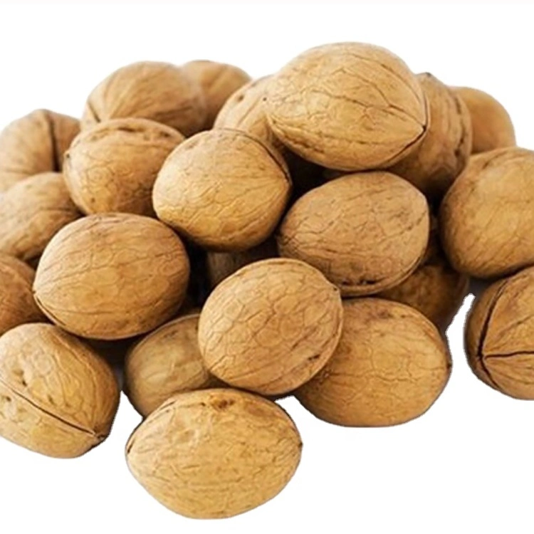 Chinese 185 Type in Shell Wholesale/Supplier Price Quarter Walnuts