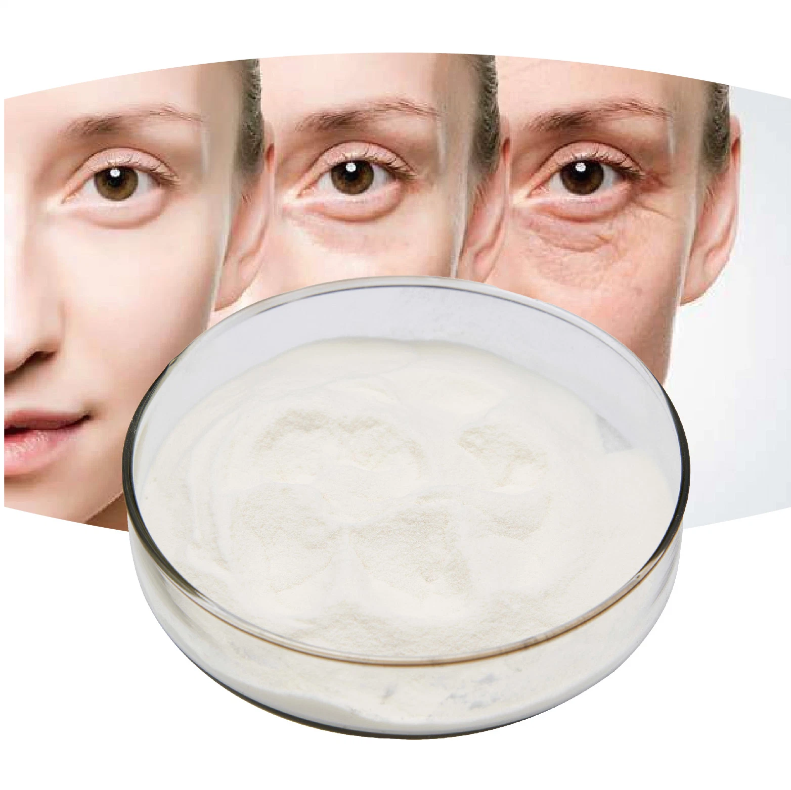 High quality/High cost performance  Cosmetic Grade Plant Extract Ruscogenin CAS 472-11-7