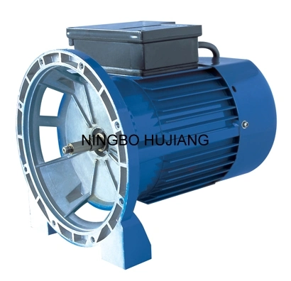 Wasserpumpenmotor (QIG-1500) AC Garden Electric