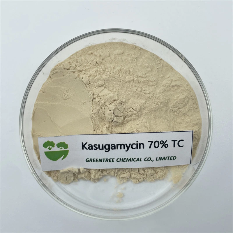 CAS No. 6980-18-3 Kasugamycin Fungicide Powder 70%Tc