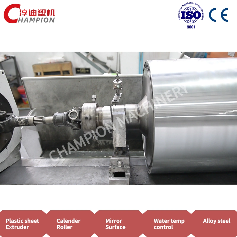 Hardware Roller/Spare Parts of Plastic Extruder Machinery/Mirror Roller/Rubber Roller Machine