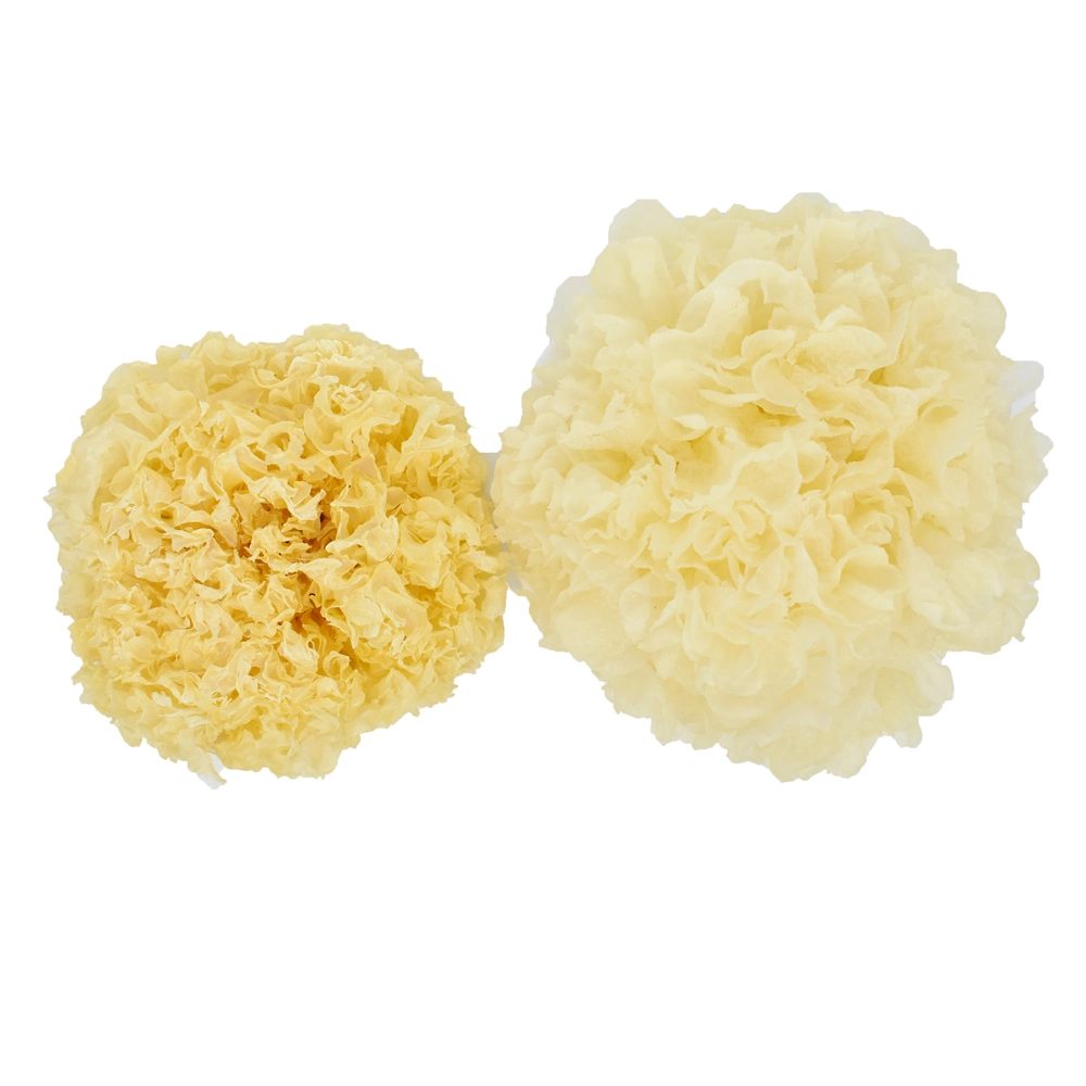 Premium Big Chinese Wood Ear White Fungus Mushroom