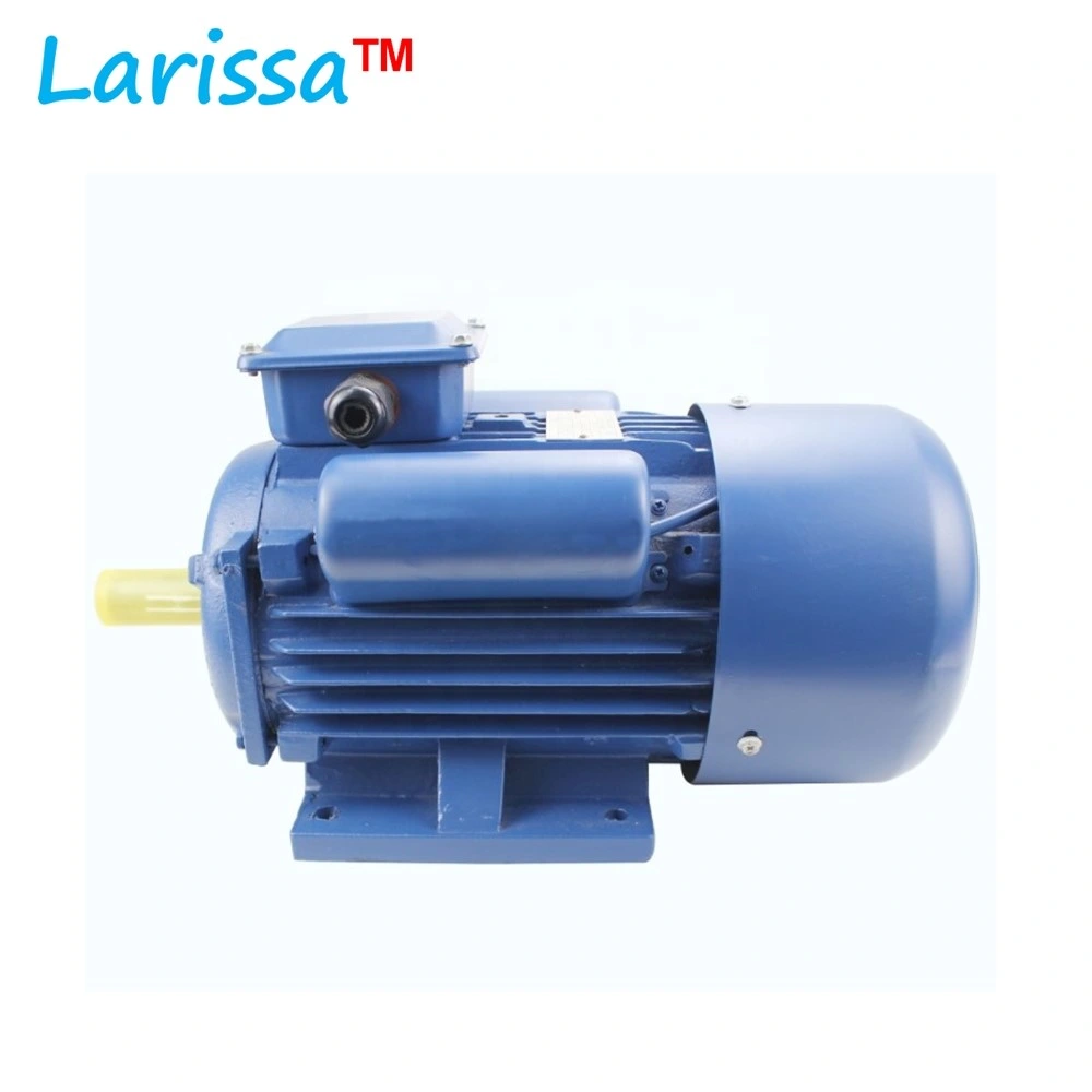 AC Single Phase Electric Induction Motor 220V 0.5HP 1HP 1.5HP 2.2HP 3HP 4HP 5.5HP Ycl Yc Series