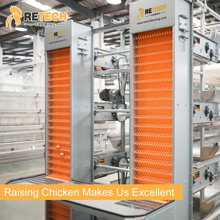 H Type Fully Automatic Battery Chicken Poultry Farm Layer Chicken Cage Equipment in Indonesia