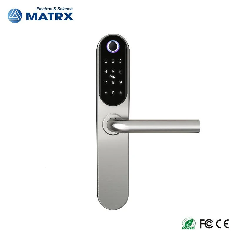 2023 304 Stainless Steel Smart Door Lock with Tuya APP