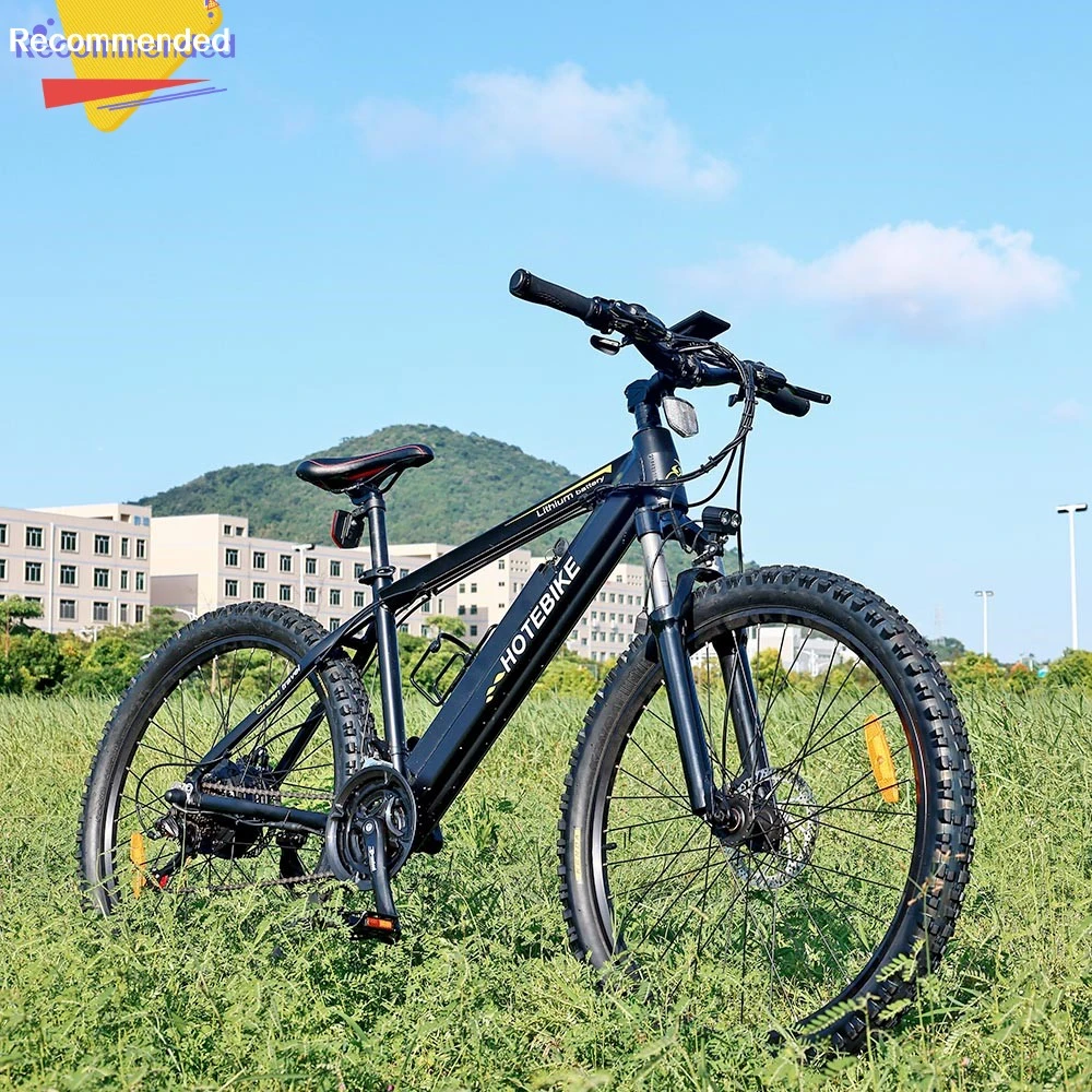 De alta calidad caliente e Moto China personalizados Fabricante de 13ah bicicleta eléctrica 36V/48V 250W/350W/500W/750W Bicicleta eléctrica