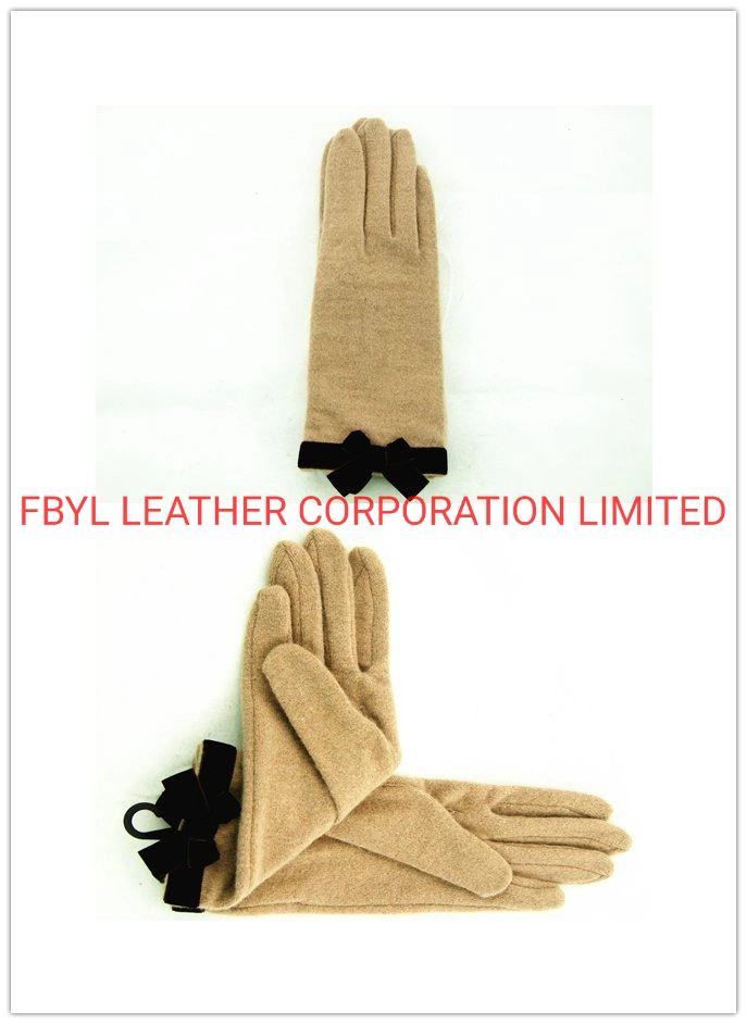 Lady Fashion Wool Touch Mobile Gloves (JYG-25067)