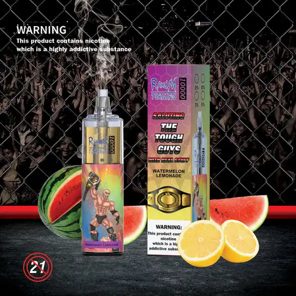 Wholesale/Supplier Original Randm 10000 Puffs Disposable/Chargeable Vape with 20ml Juice and Rechargeable Battery E CIGS