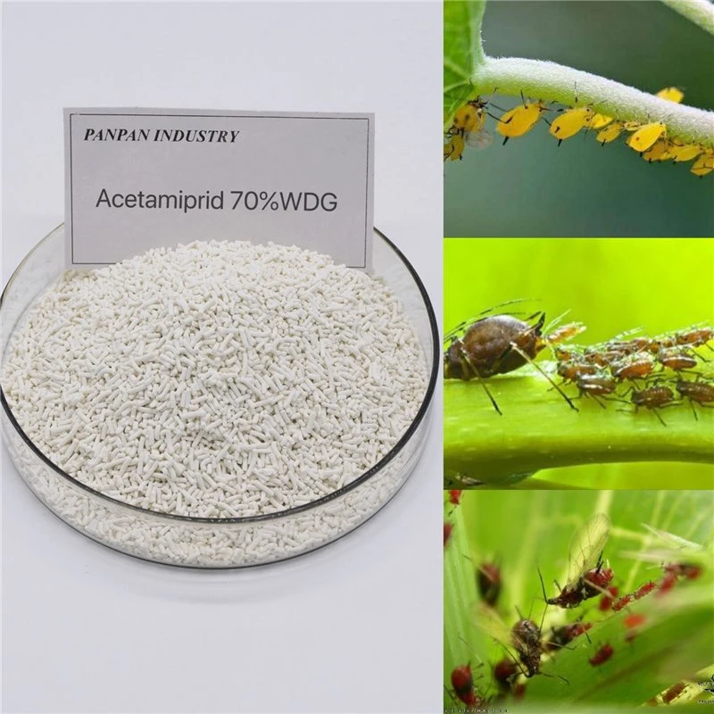 China Manufacturer Kill Pest Acetamiprid 70%Wdg