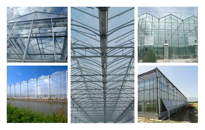 4mm 5mm Low Iron/ Ultra Clear Anti-Reflection Glass with Starphire Color for Greenhouse