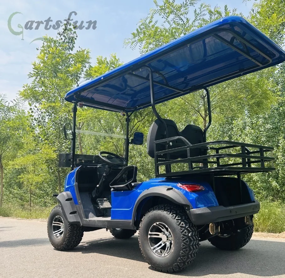 Factory 2+4 Seat Sightseeing Bus Club Cart Gas Golf Buggy Hunting Car