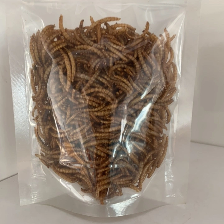 Cebada Mealworm secos, Amarillo, Horno de secado Mealworm Mealworms