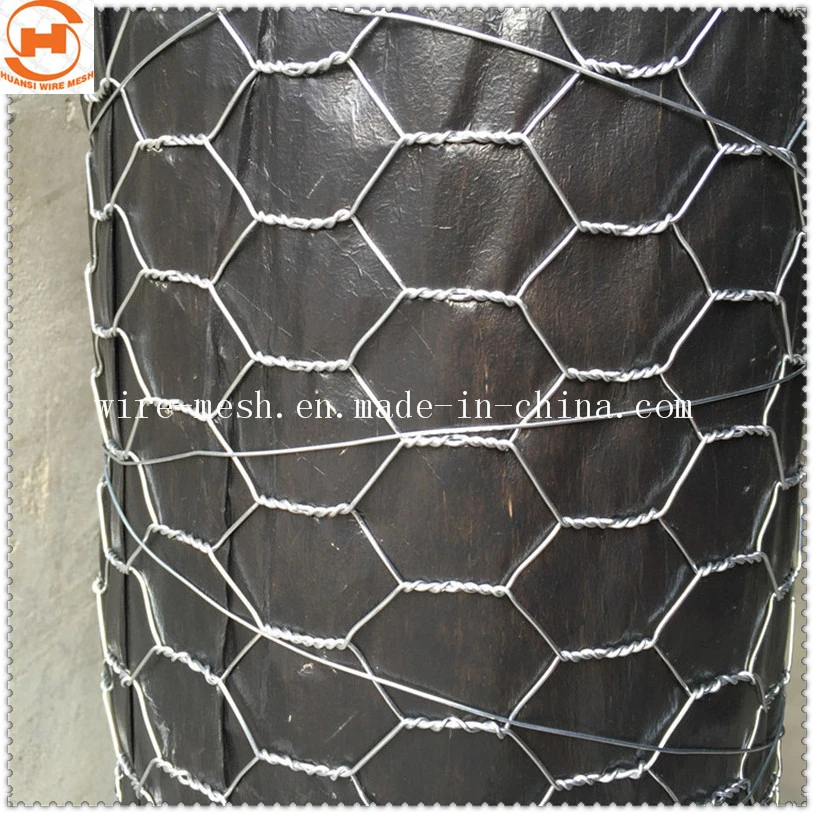 Galvanized Hexagonal Wire Mesh/Chicken Wire Mesh