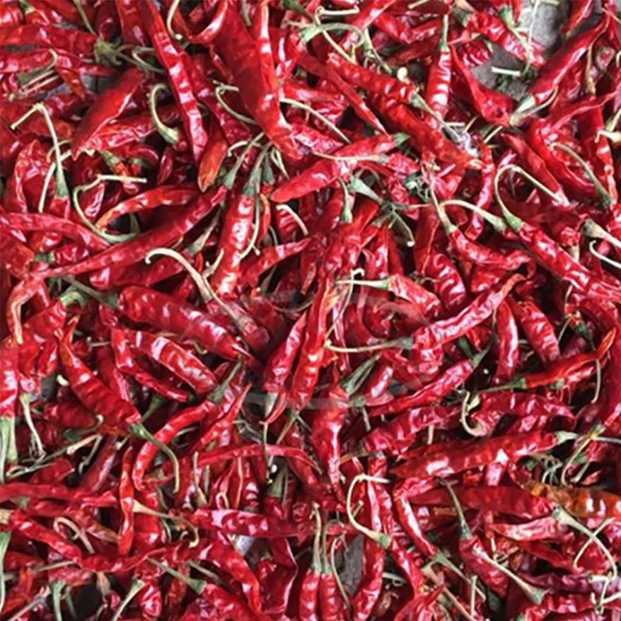 Los cultivos orgánicos secos picante Chili Super Hot en el extranjero de exportación