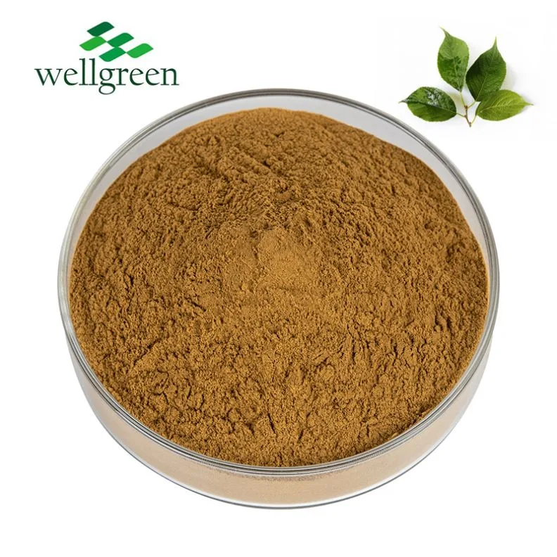 Chinese Traditional Herb Free Sample Organic Eucommia Ulmoides Bark Extract