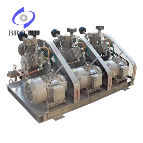 Brotie Oil-Free Oilless Air Compressor