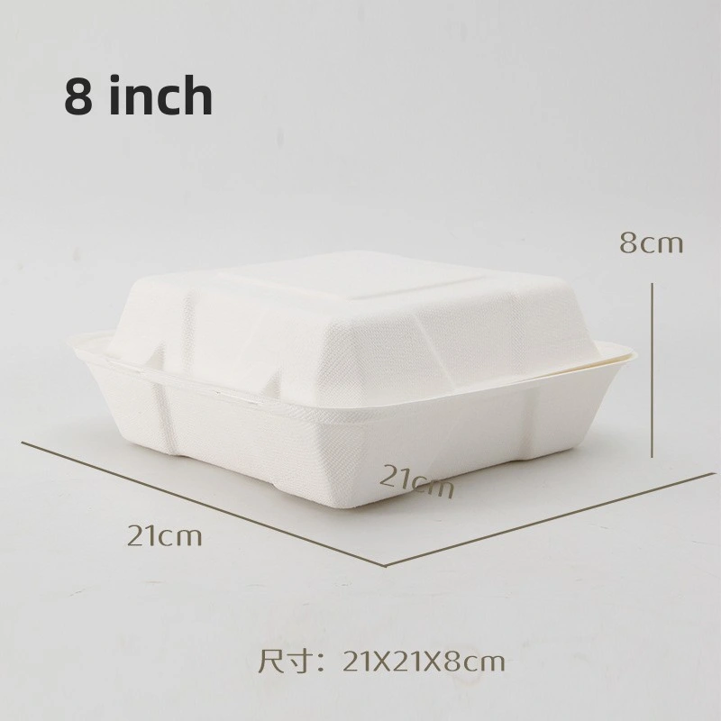 Hot Sale Food Container More Rigid Disposable Tableware for You Want