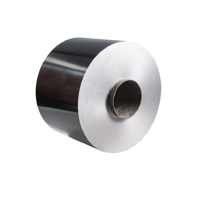 Aluminum Coil Zinc Alloy Plain Aluminum for Building Material