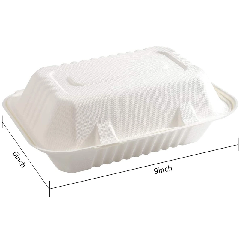 Factory Take-out Oil Proof Disposable Biodegradable Takeaway Food Packaging Tableware Lunch Box