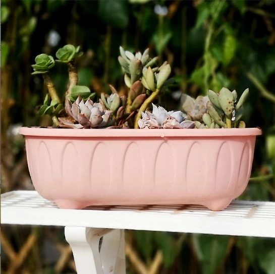 Preço Wholesales Personalidade Criativa Garden Pot em casa