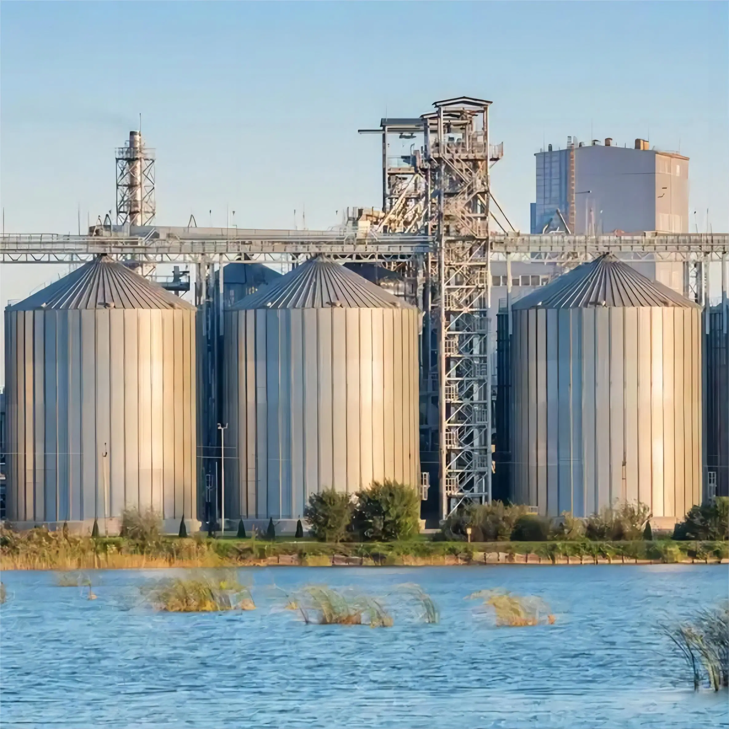 Paddy Silo / girassol semente Silo / milho Silo galvanizando grão de aço inoxidável Armazenamento Silo