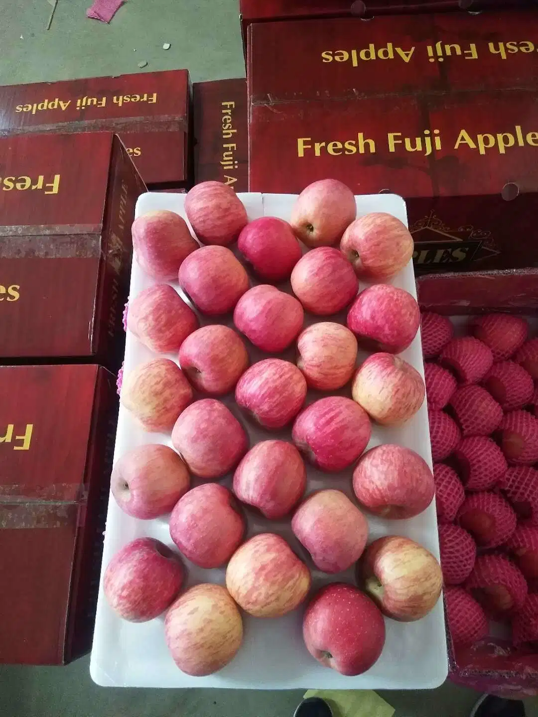 Fresh New Crop Chinese Wholesale Premium Quality FUJI Apple Full Red Color