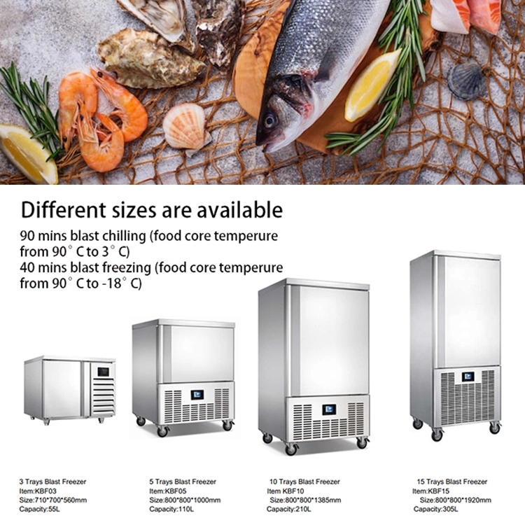 Best Price Blast Freezer for Ice Cream Quick Air Blast Freezing for Seafood Fish Meat for Sale