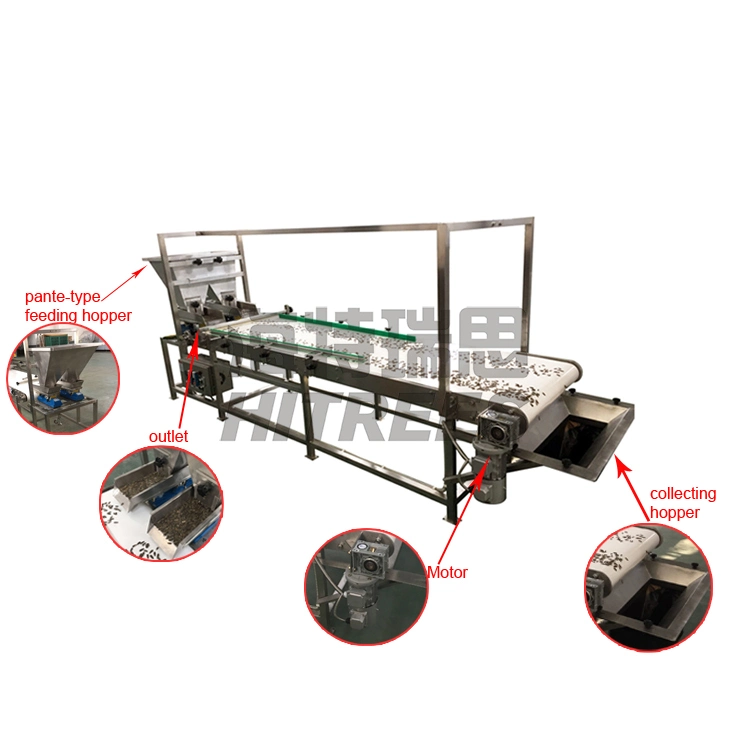 Electric Belt Sorting Machine Conveyor System