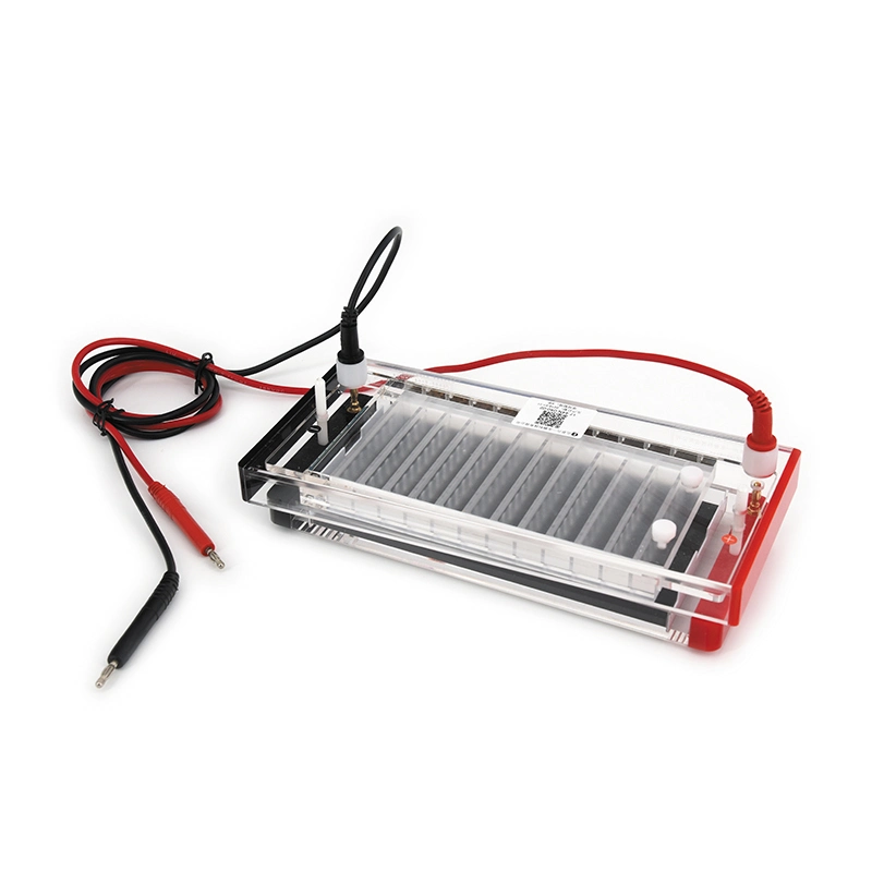 Quick Running Electrophoresis Cell for Sell