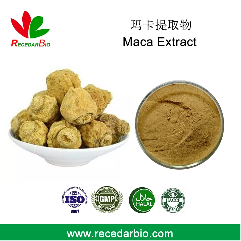 Male Health Natural Black أو Yellow Maca Root Extract Powder