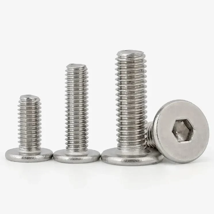 M2 M2.5 M3 M4 M5 M6 M8 Stainless Steel Ss Allen Wafer Ultra Low Profile Thin Flat Head Hexagon Socket Machine Screws