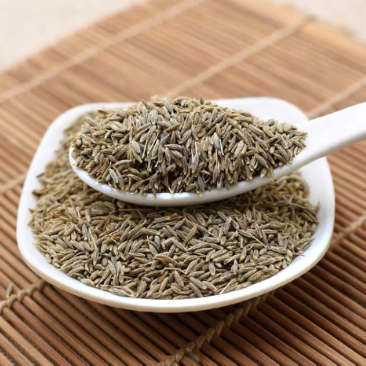 Cumin Seeds Supply Dried Cumin Seeds Spice with Factory Price