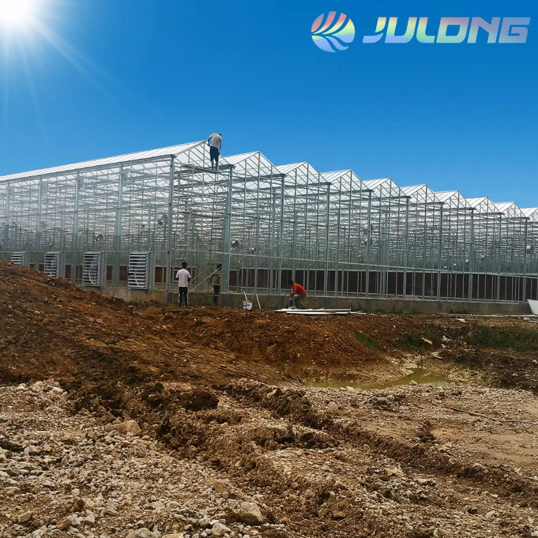 Aluminum Frame Vegetable Commercial Venlo Type Glass Greenhouse for Agriculture Garden Farm