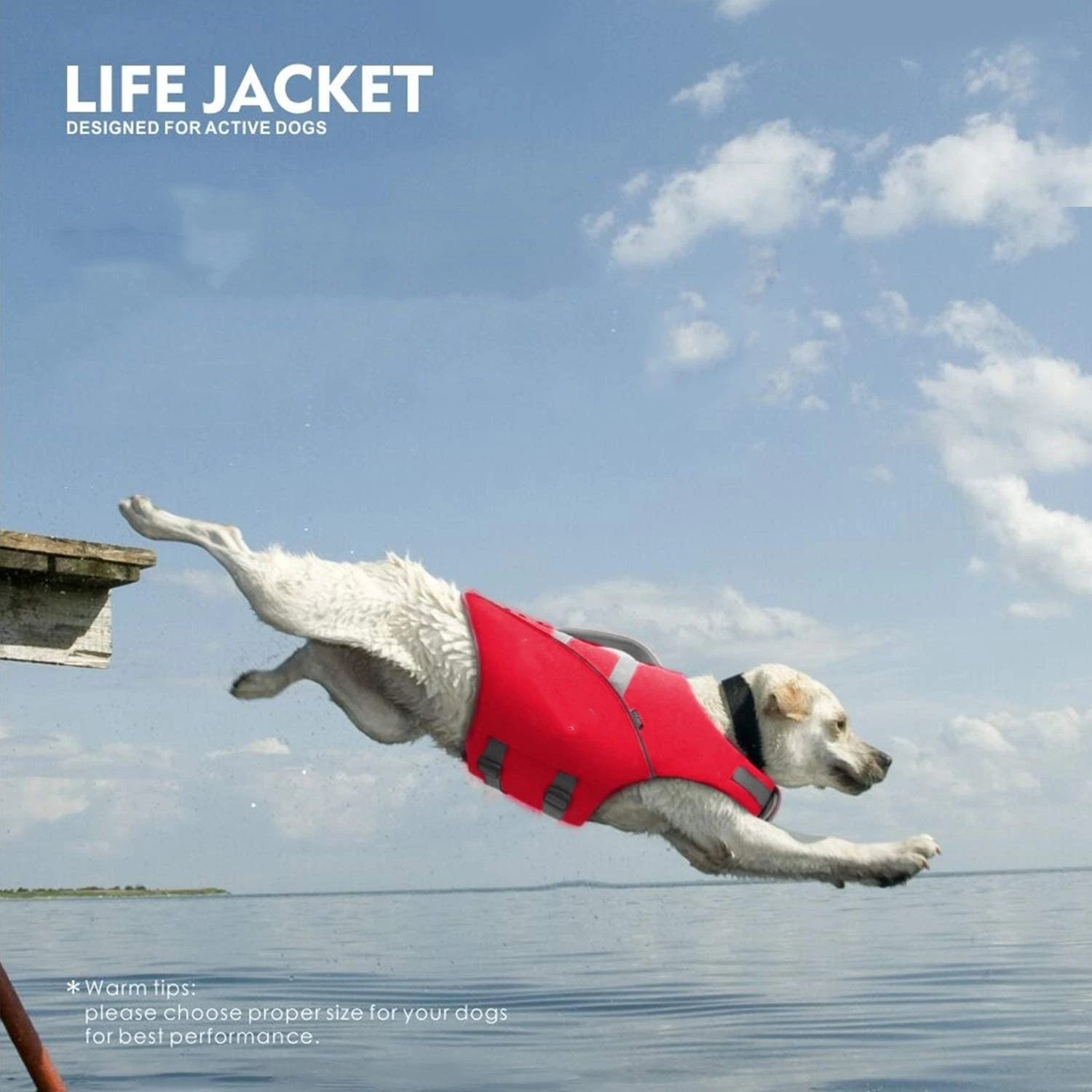 Куртка Dog Life с отражательной и регулируемой застежкой Preserver Floatation Vest