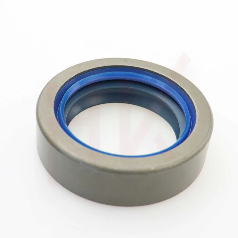 Hydraulic Oil Seal Dkb Outer Iron Shell Frame Dustproof Seal Ring 19*31*6/9