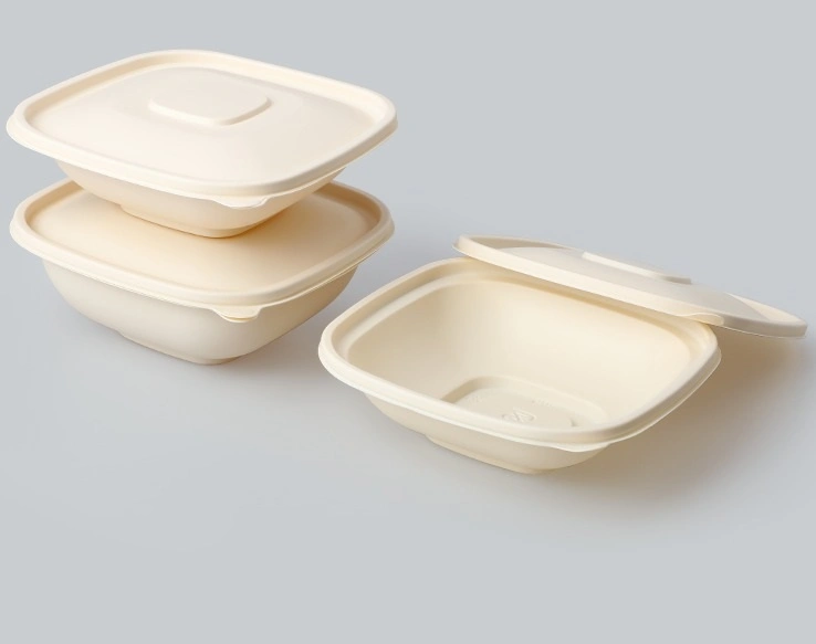 Environmentally Friendly Lunch Food Container Disposable 3 Boxes Disposable Food Container