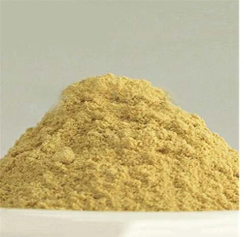 Ganoderma Powder OEM Ginseng Ganoderma Powder Customize Powder OEM Manufacturer