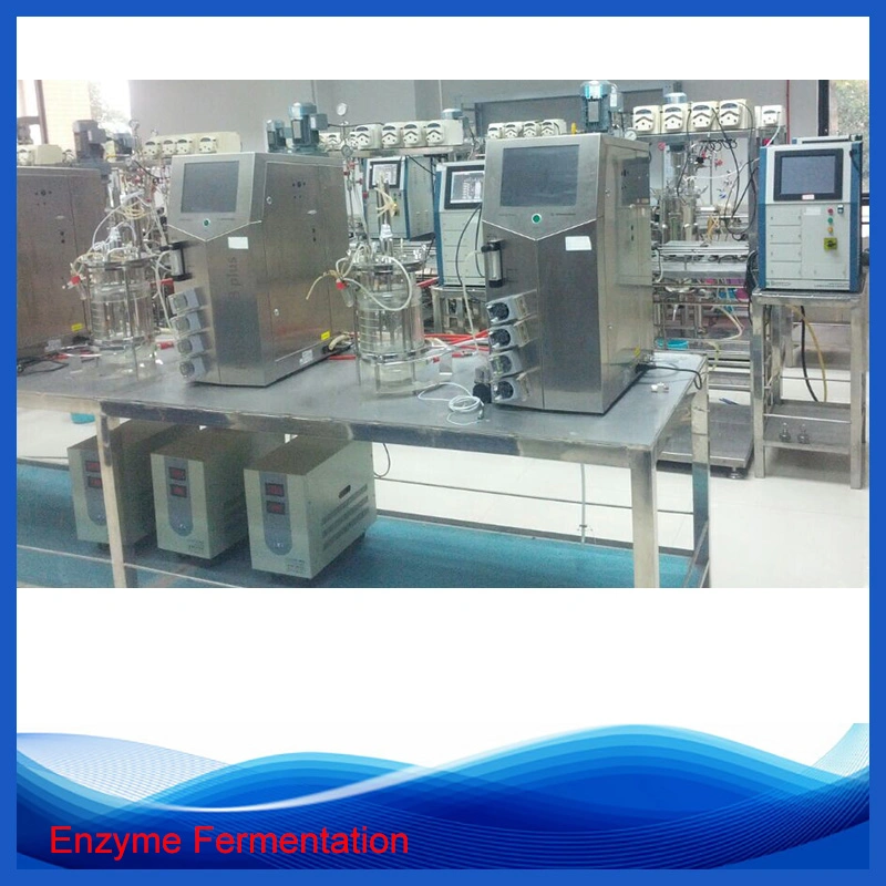 Industrial Enzyme One Bath Enzyme Polishing and Oxygen Removal