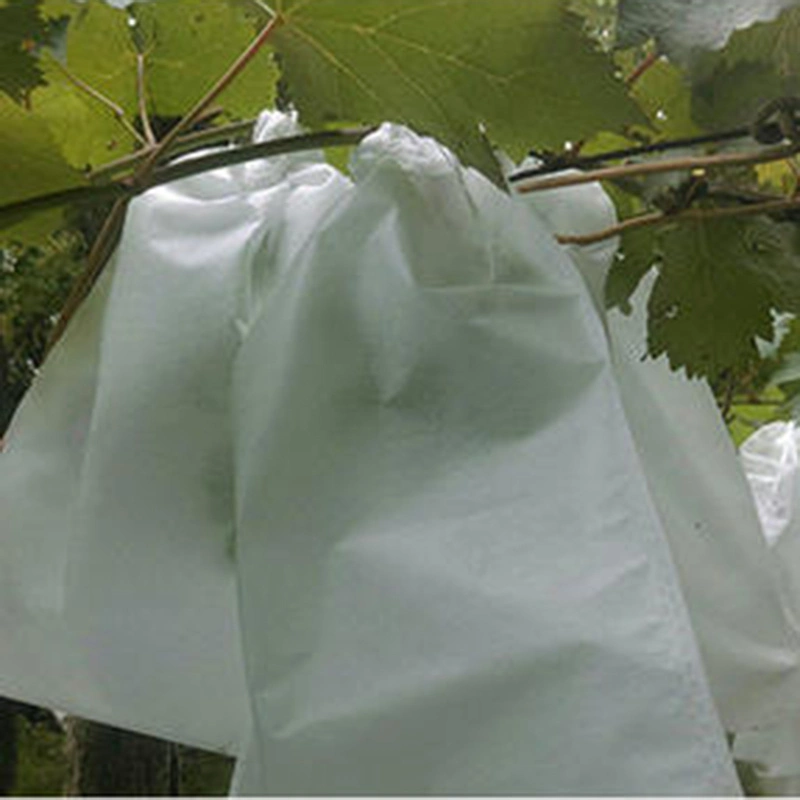 White PP Spunbond Nonwoven Cloth for Agriculture