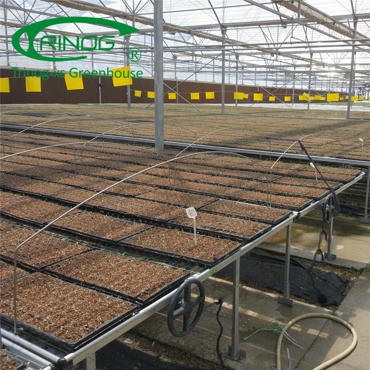 Intelligent Multi-Functional Film Greenhouse for Vegetable