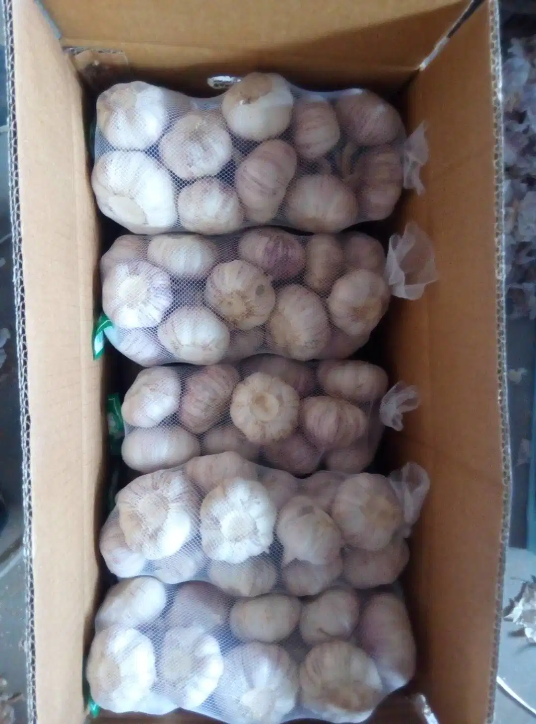 2023 New Crop Fresh White Garlic