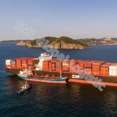 International Logistics Shipping From China to Florida Air Freight Forwarder China to USA DDP Shipping Rates From China to USA Door to Door including Tax