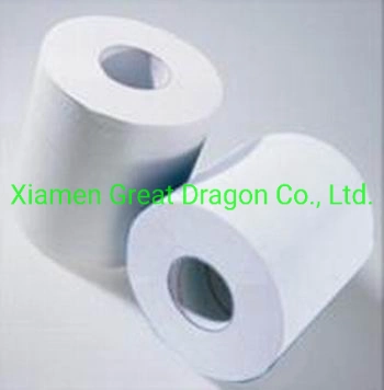 High Capacity Hard Roll Paper Towels (T-30)