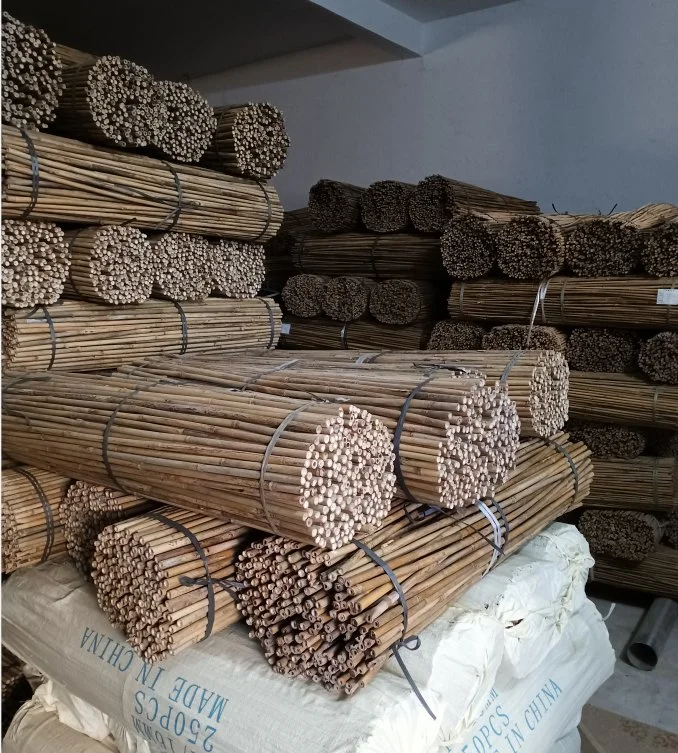 Bamboo Poles for Plant Support Stick