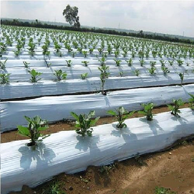 Wholesale/Supplier Agricultural Mulch Plastic Roll Film Plastic Perforated Mulch Film Bio360 Mulch Film Weed Control Film